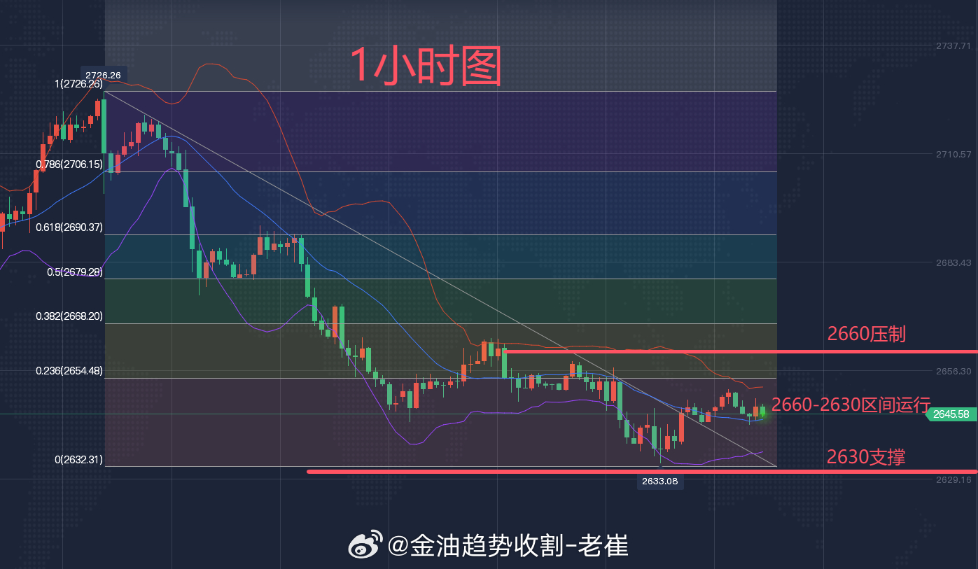 黄金未来走向揭秘，最新走势预测与小巷中的秘密宝藏探寻