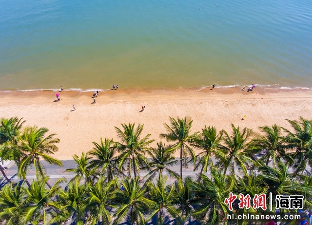 海南海洋天气更新及小巷深处的神秘小店探索