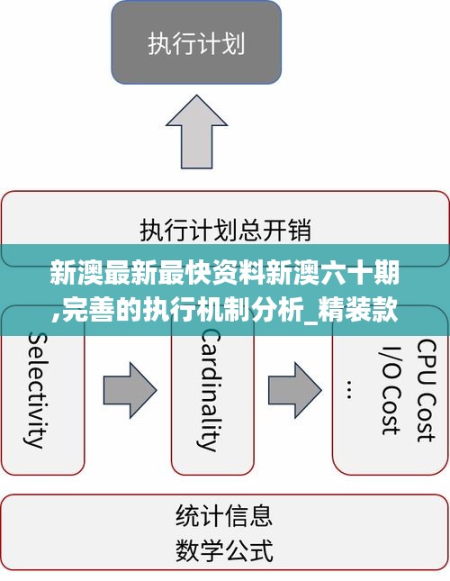 新澳内部期期精准,稳固执行战略分析_家庭版81.798