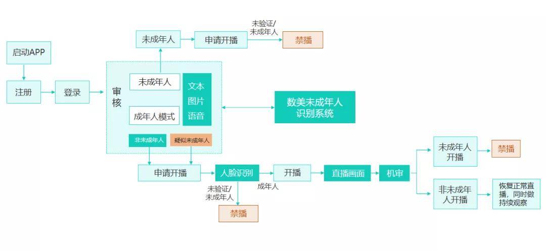 澳门一码一肖一特一中直播结果,全方位操作计划_互联版64.540