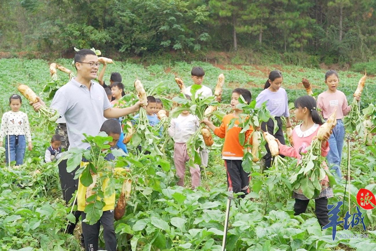 最新家庭摄像头种子，科技革新智能守护家庭安全