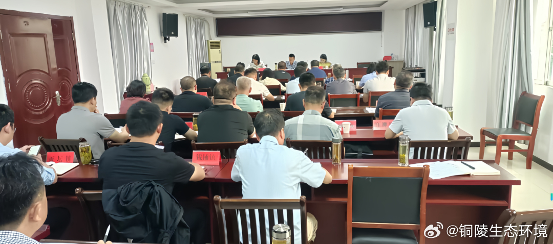 枞阳新闻最新消息速递，掌握最新动态📢