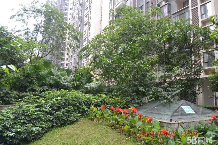二十四城柒公馆最新价格与时代背景下的瞩目焦点