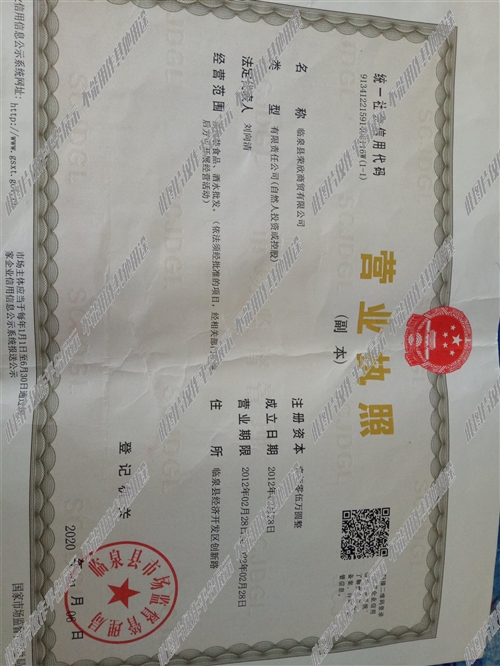 邯郸市商务司机招聘启事，路上的奇遇与友情的绽放之旅