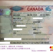 加拿大旅游签证最新出签时间及步骤指南