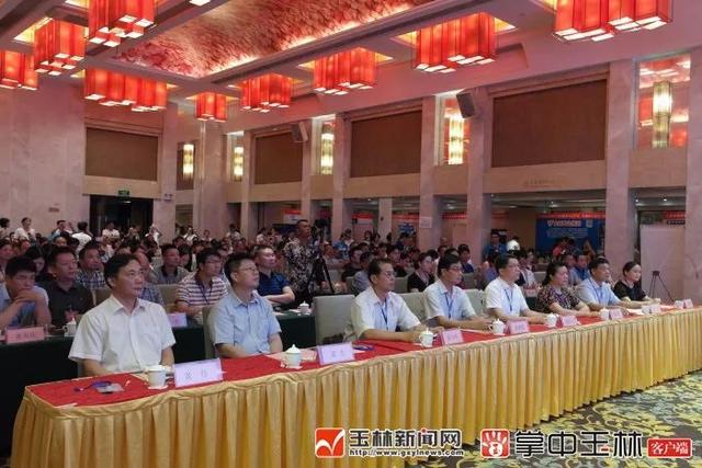 玉林市委常委最新名单揭晓，权威揭秘！