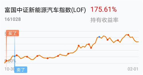 今日揭秘，自然美景的心灵之旅与最新净值查询的基金净值揭秘（基金代码，161028）