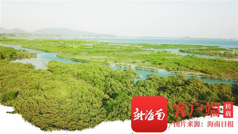 海南陵水科技新品亮相，引领智能生活新潮流最新消息