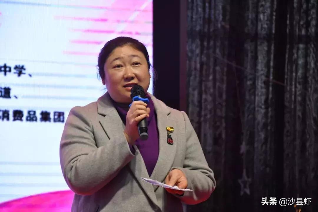 成都金沙二小最新动态，教育改革的探索与启示