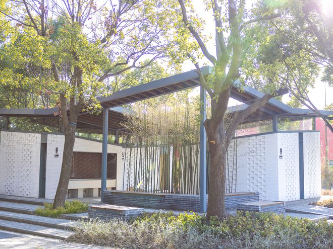 庄行农艺公园全新生态体验之旅揭秘，最新消息与独特体验之旅