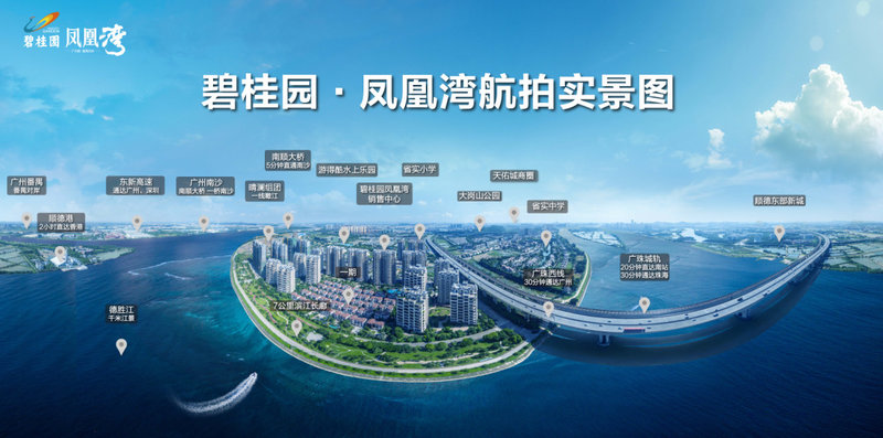 顺德碧桂园凤凰湾房价动态，时代印记与市场的脉搏