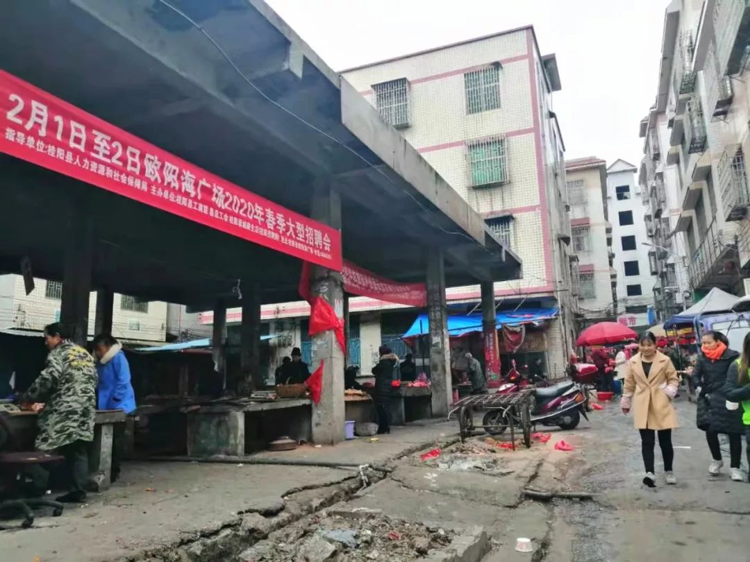 桂阳流峰镇最新发展动态，探索、参与与步骤指南