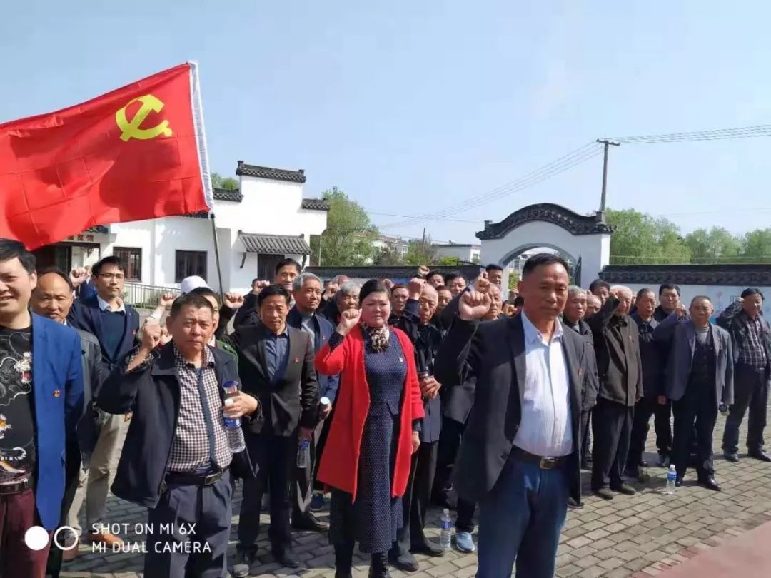 枞阳会宫最新消息新闻更新，动态与资讯汇总