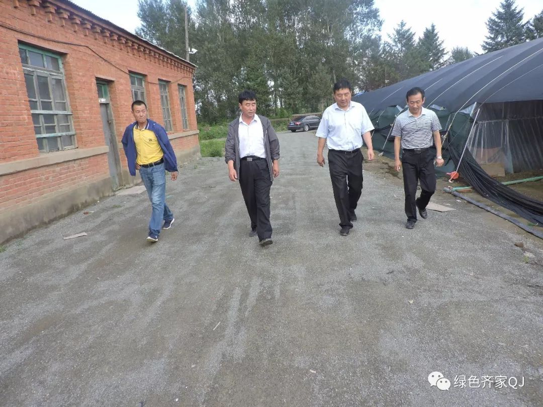吉林浩鑫农牧最新消息及如何利用消息完成相关任务与学习技能的指南