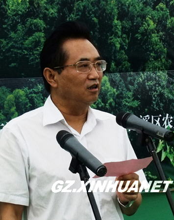 贵阳市委常委名单揭晓，科技引领未来，智慧开启新篇章