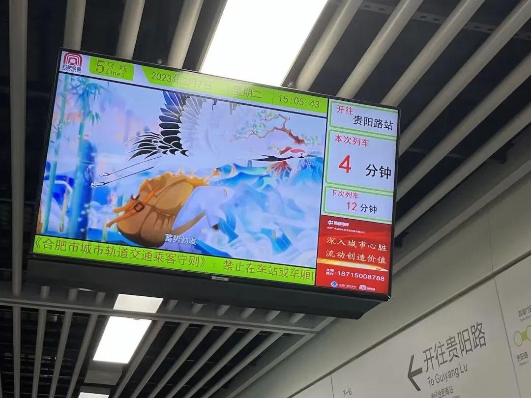 合肥五里井最新动态更新